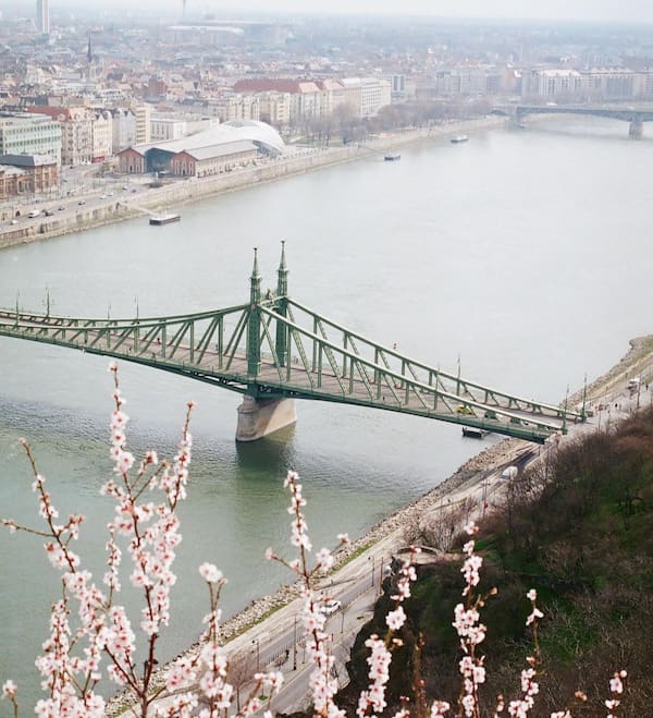 Budapests bro