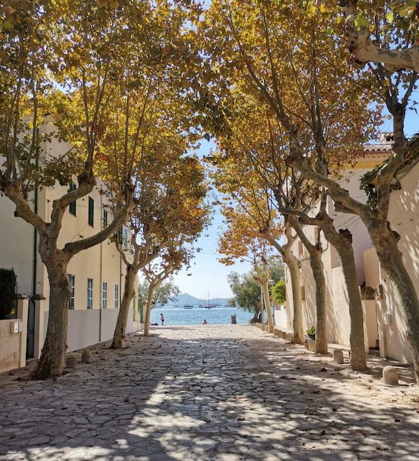 Port de Pollensa